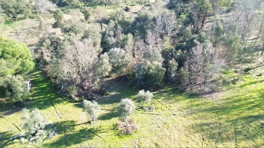 Terreno Agricola ou Rústico para Venda em Aldeia do Bispo, Águas e Aldeia de João Pires Foto 7
