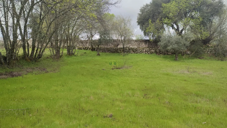 Terreno Agricola ou Rústico para Venda em Aldeia do Bispo, Águas e Aldeia de João Pires Foto 16