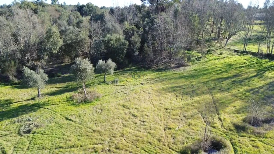 Terreno Agricola ou Rústico para Venda em Aldeia do Bispo, Águas e Aldeia de João Pires Foto 6