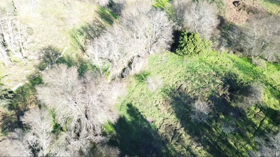 Terreno Agricola ou Rústico para Venda em Aldeia do Bispo, Águas e Aldeia de João Pires Foto 10