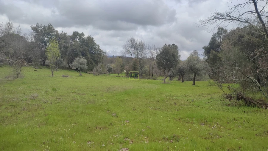 Terreno Agricola ou Rústico para Venda em Aldeia do Bispo, Águas e Aldeia de João Pires Foto 14