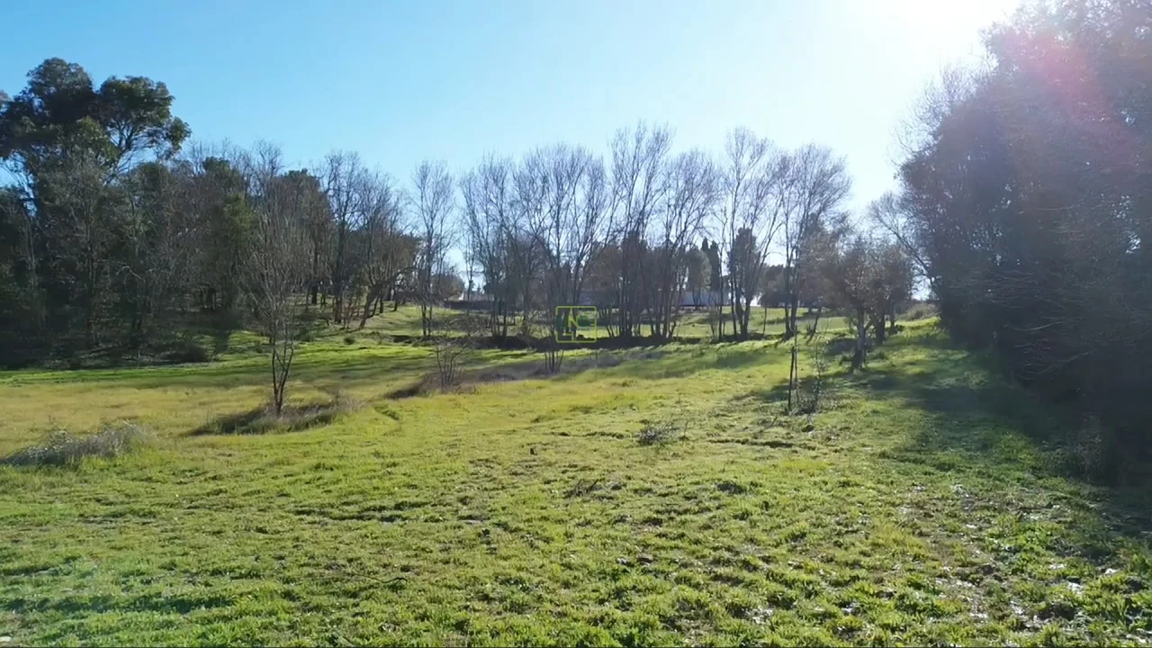 Terreno Agricola ou Rústico para Venda em Aldeia do Bispo, Águas e Aldeia de João Pires Foto 6