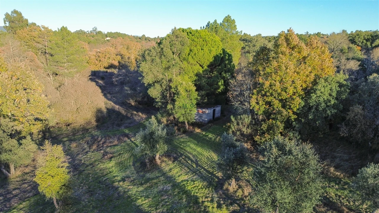 Terreno Agricola ou Rústico para Venda em Aldeia do Bispo, Águas e Aldeia de João Pires Foto 32