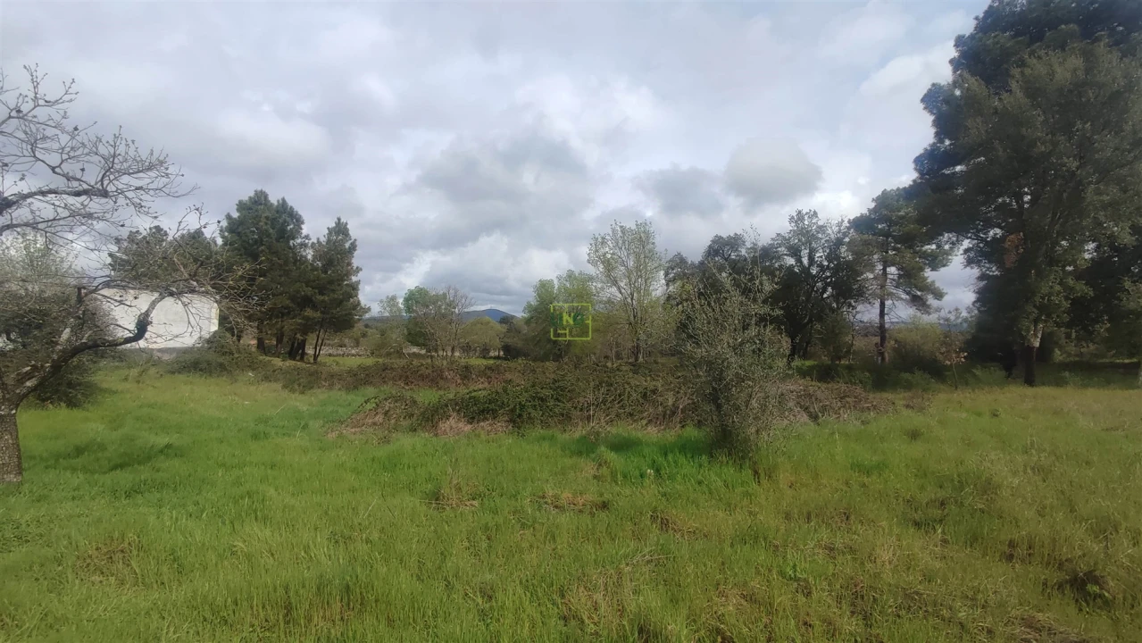 Terreno Agricola ou Rústico para Venda em Aldeia do Bispo, Águas e Aldeia de João Pires Foto 13