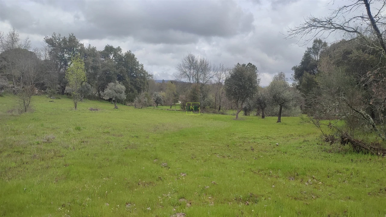 Terreno Agricola ou Rústico para Venda em Aldeia do Bispo, Águas e Aldeia de João Pires Foto 15