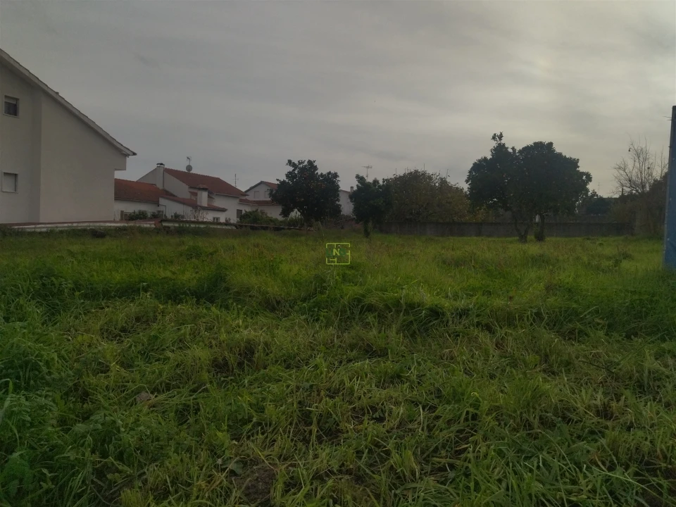 Terreno para Venda em Castelo Branco Foto 23
