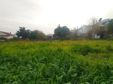 Terreno para Venda em Castelo Branco