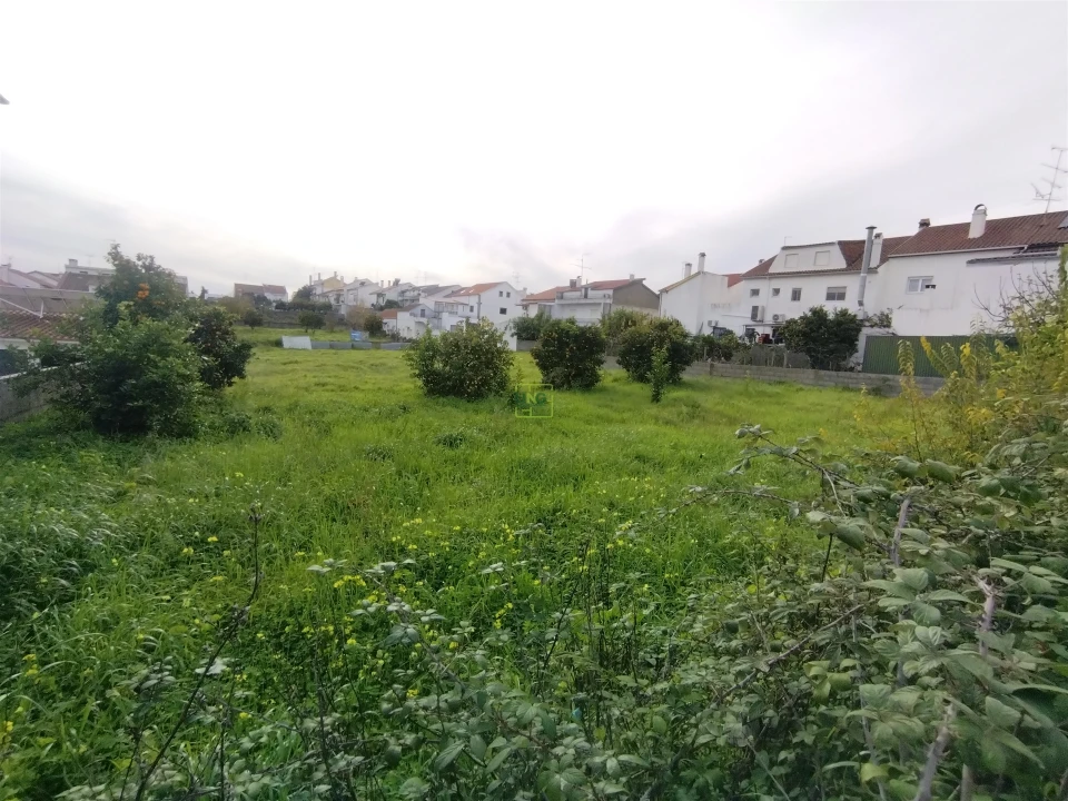 Terreno para Venda em Castelo Branco Foto 22