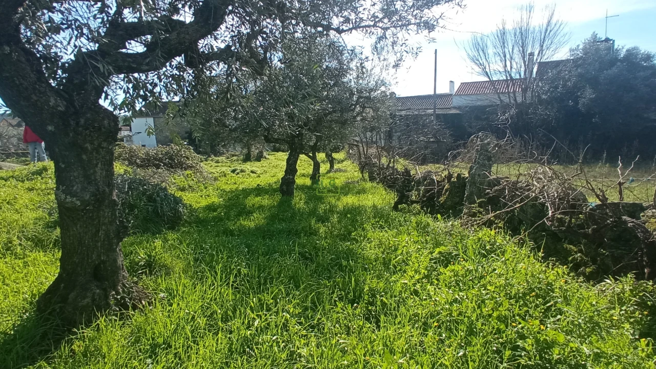 Moradia T2 para Venda em Aldeia do Bispo, Águas e Aldeia de João Pires Foto 6