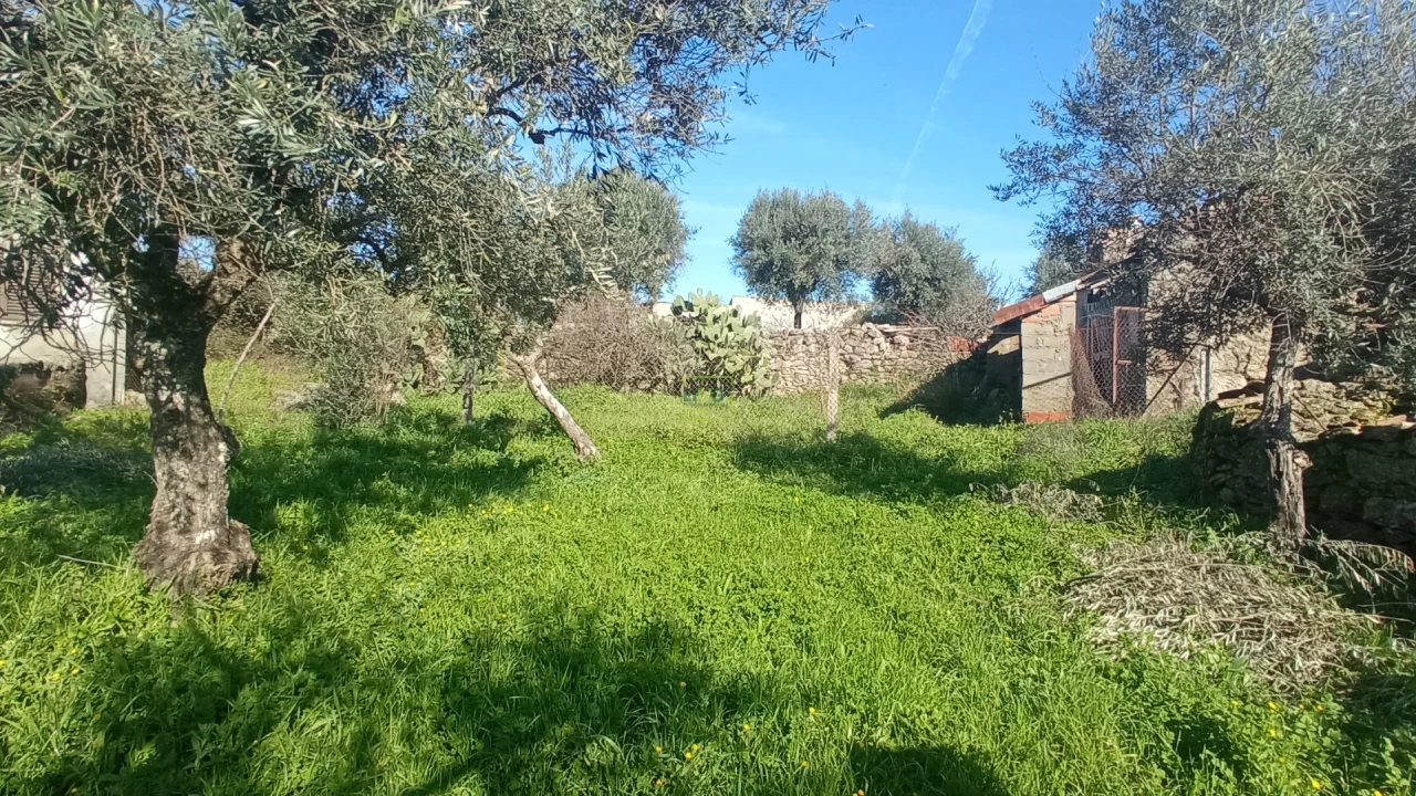Moradia T2 para Venda em Aldeia do Bispo, Águas e Aldeia de João Pires Foto 5