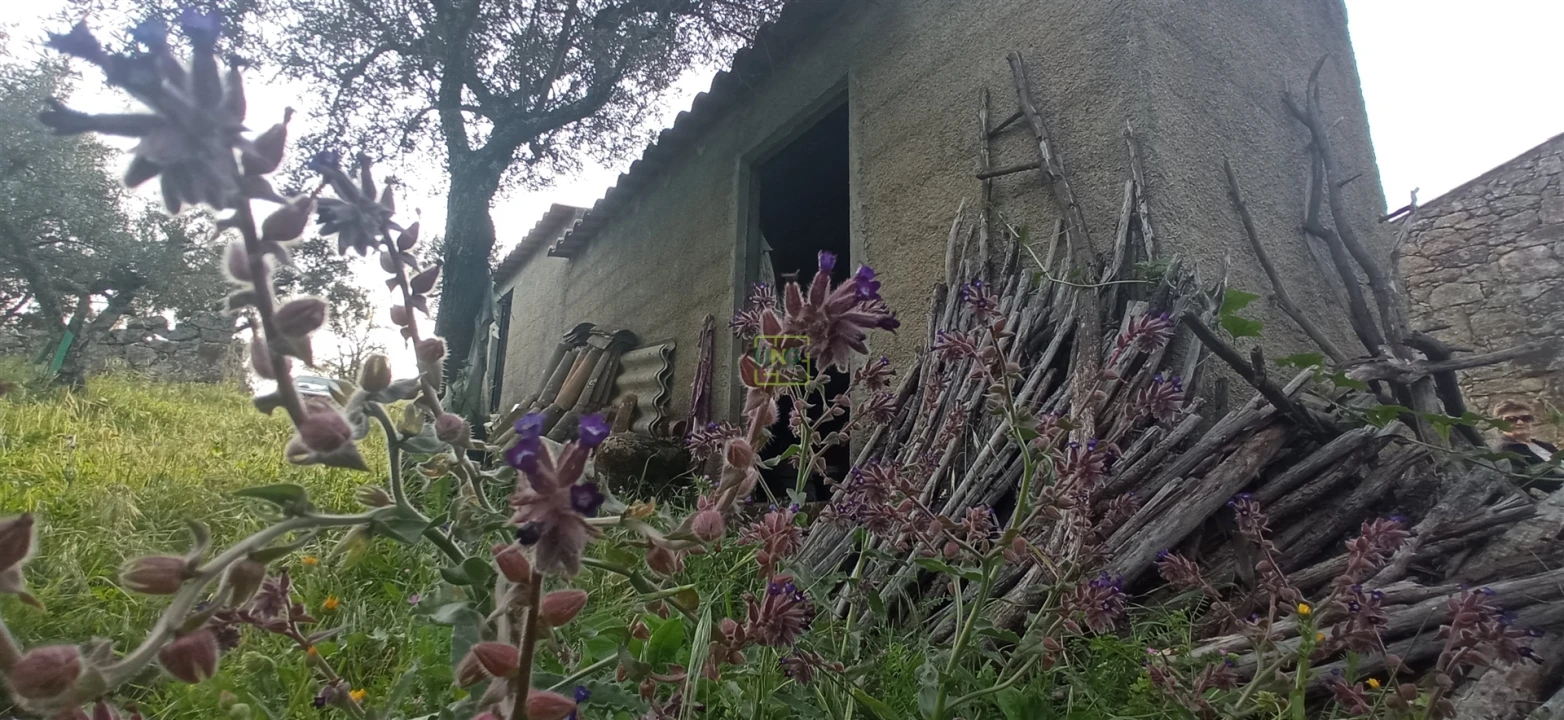Terreno para Venda em Pedrógão de São Pedro e Bemposta Foto 1