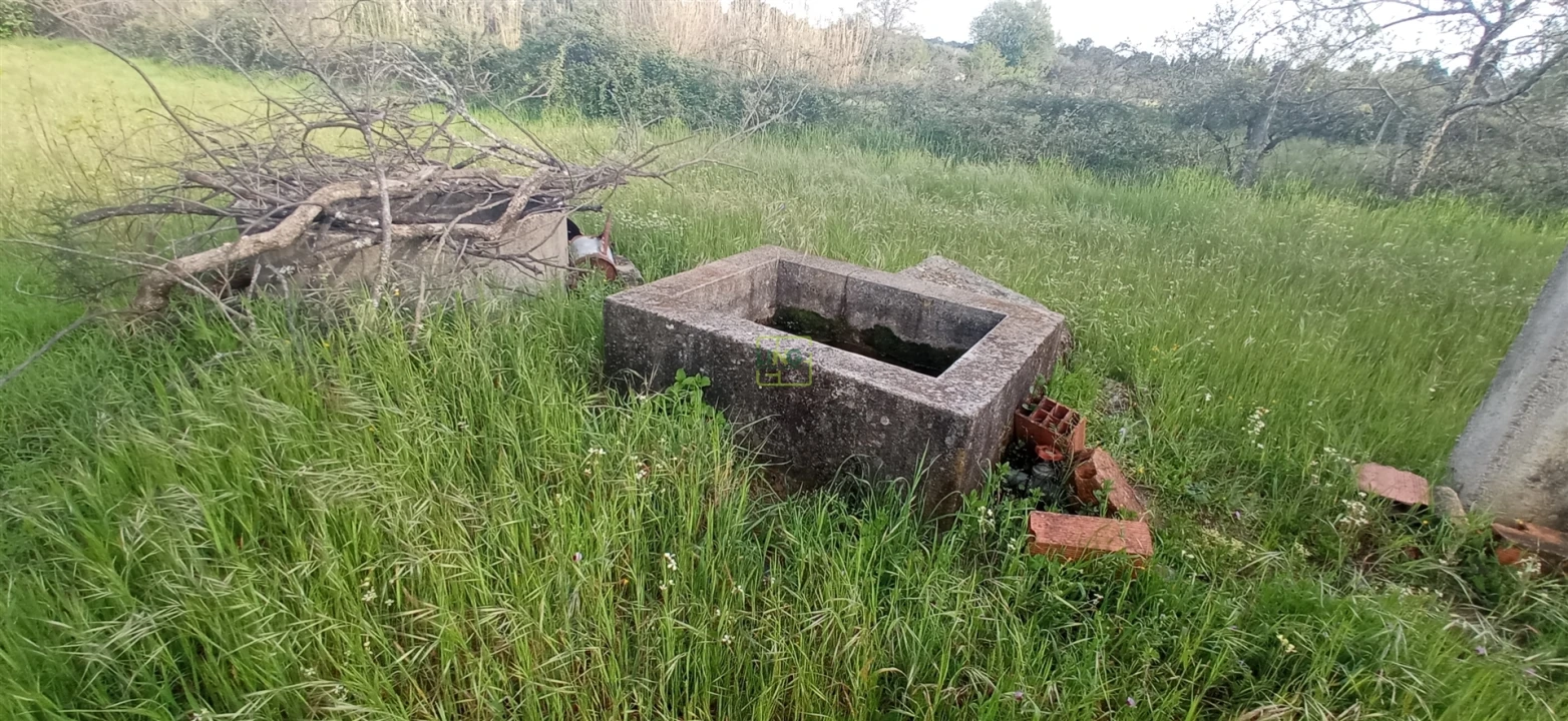 Terreno para Venda em Pedrógão de São Pedro e Bemposta Foto 11