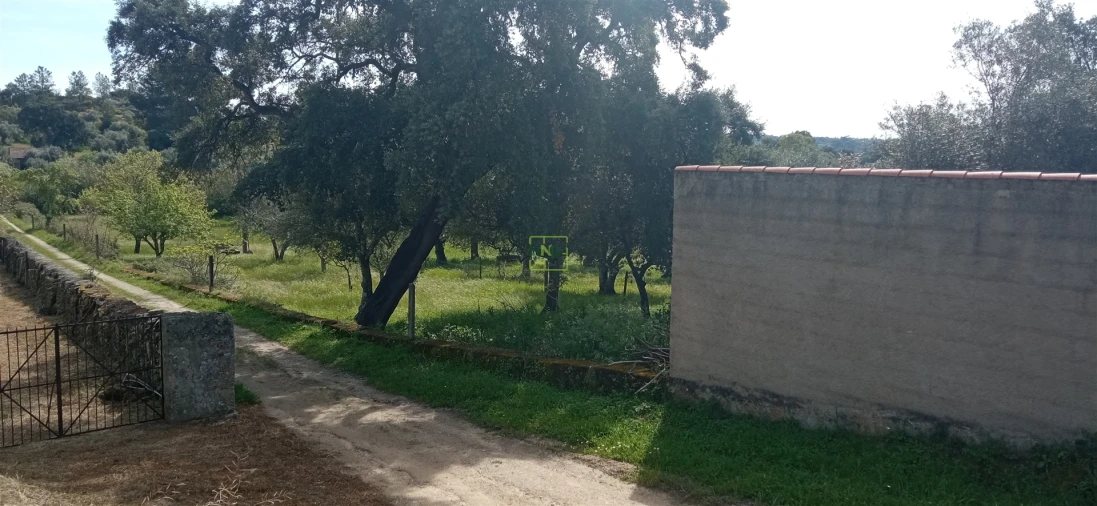 Terreno para Venda em Pedrógão de São Pedro e Bemposta Foto 19