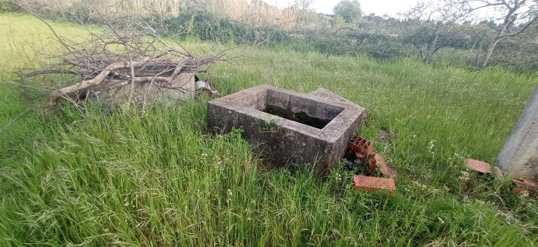 Terreno para Venda em Pedrógão de São Pedro e Bemposta Foto 11
