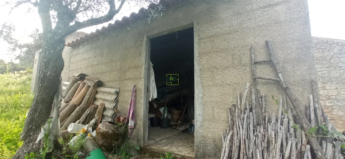 Terreno para Venda em Pedrógão de São Pedro e Bemposta Foto 3