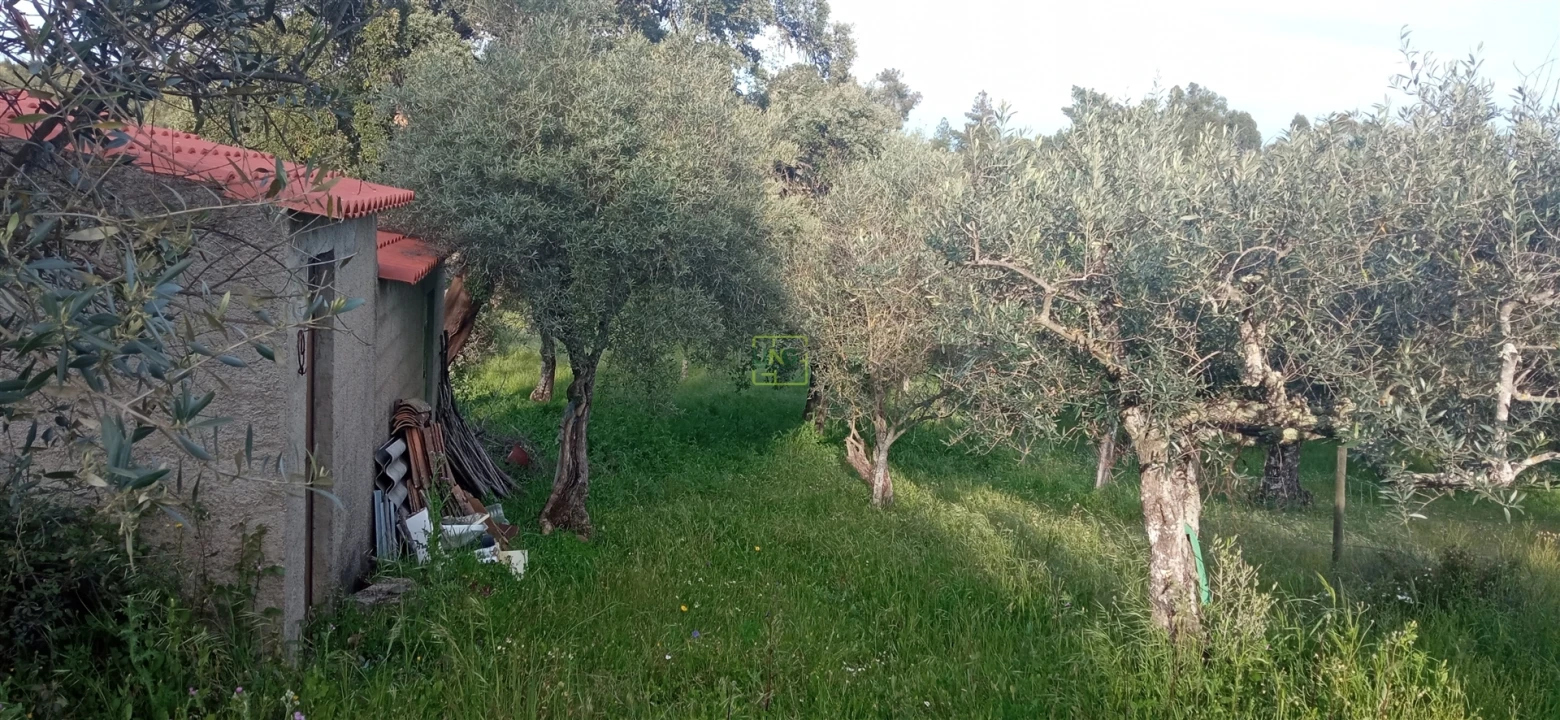 Terreno para Venda em Pedrógão de São Pedro e Bemposta Foto 17