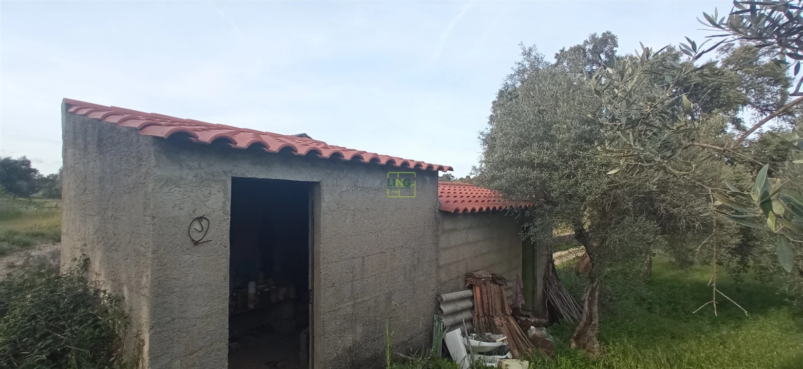 Terreno para Venda em Pedrógão de São Pedro e Bemposta Foto 2