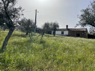 Quinta T3 para Venda em Sarzedas