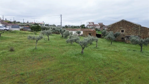 Quinta T3 para Venda em Sarzedas