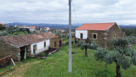 Quinta T3 para Venda em Sarzedas