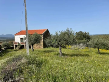 Quinta T3 para Venda em Sarzedas