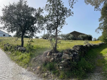 Quinta T3 para Venda em Sarzedas