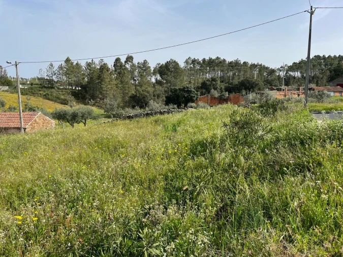 Quinta T3 para Venda em Sarzedas Foto 29