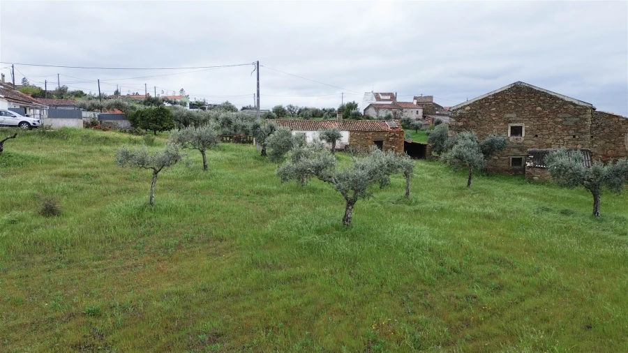 Quinta T3 para Venda em Sarzedas Foto 54
