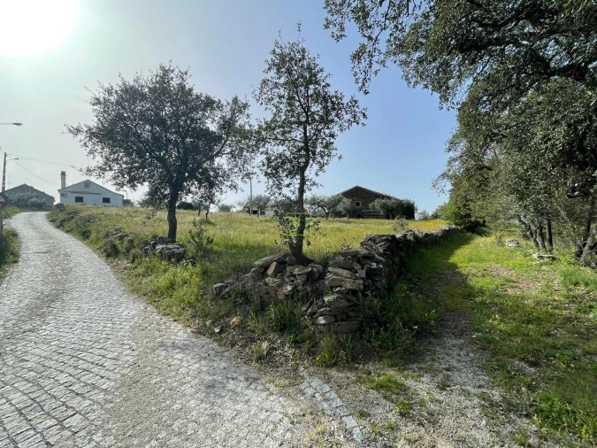 Quinta T3 para Venda em Sarzedas Foto 25