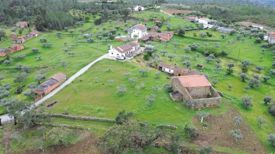 Quinta T3 para Venda em Sarzedas Foto 52