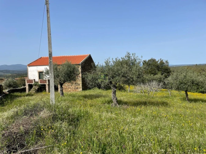 Quinta T3 para Venda em Sarzedas Foto 6