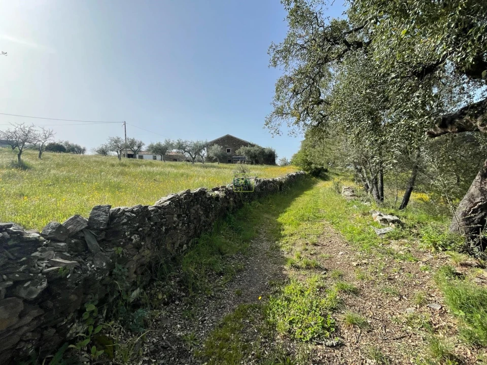 Quinta T3 para Venda em Sarzedas Foto 24