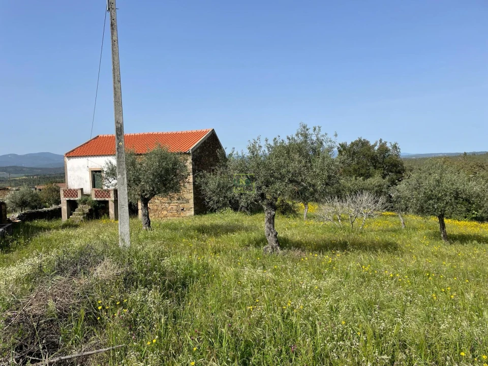 Quinta T3 para Venda em Sarzedas Foto 6