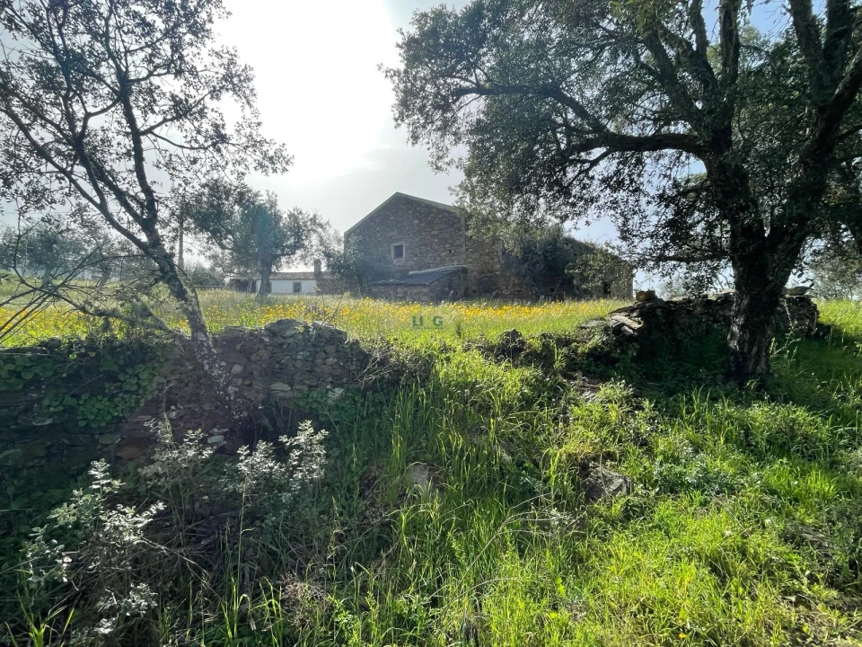 Quinta T3 para Venda em Sarzedas Foto 23