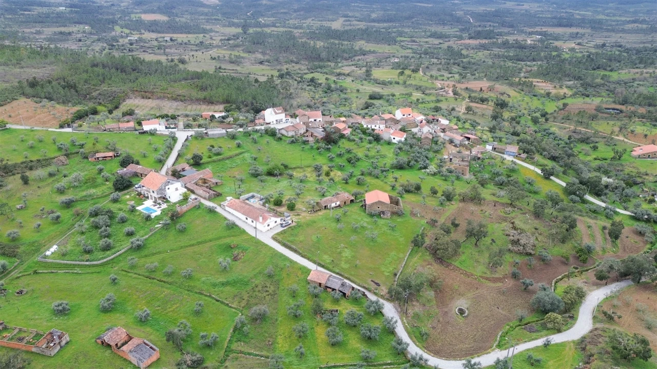 Quinta T3 para Venda em Sarzedas Foto 46