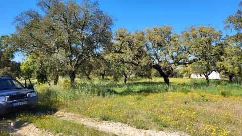 Quinta T2 para Venda em Castelo Branco