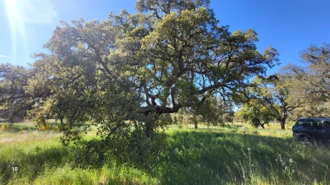 Quinta T2 para Venda em Castelo Branco