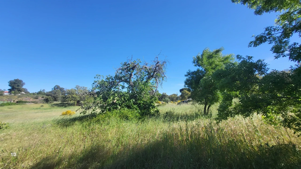 Quinta T2 para Venda em Castelo Branco Foto 4