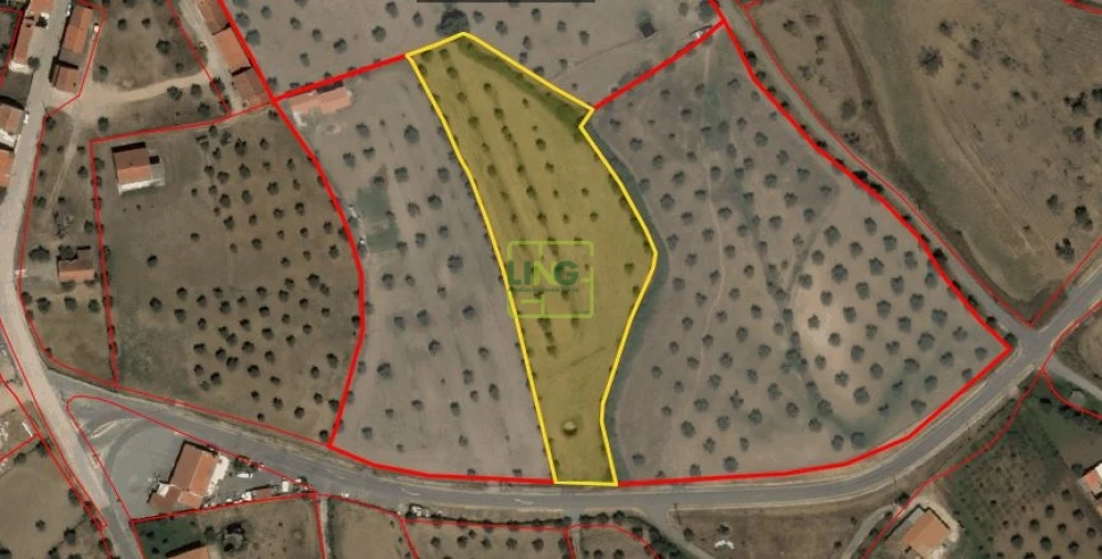 Terreno Agricola ou Rústico para Venda em Ladoeiro Foto 19