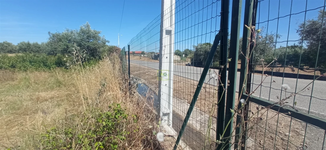Terreno Agricola ou Rústico para Venda em Ladoeiro Foto 4