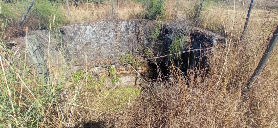 Terreno Agricola ou Rústico para Venda em Ladoeiro Foto 7