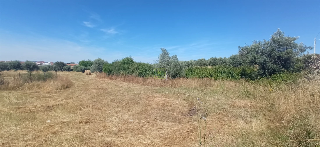 Terreno Agricola ou Rústico para Venda em Ladoeiro Foto 15