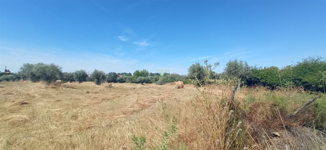 Terreno Agricola ou Rústico para Venda em Ladoeiro Foto 12