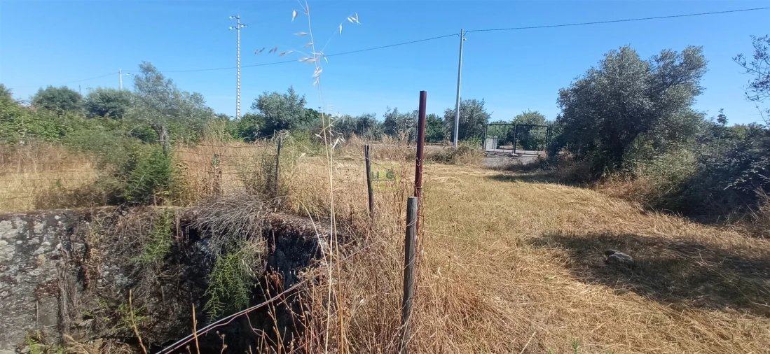 Terreno Agricola ou Rústico para Venda em Ladoeiro Foto 5