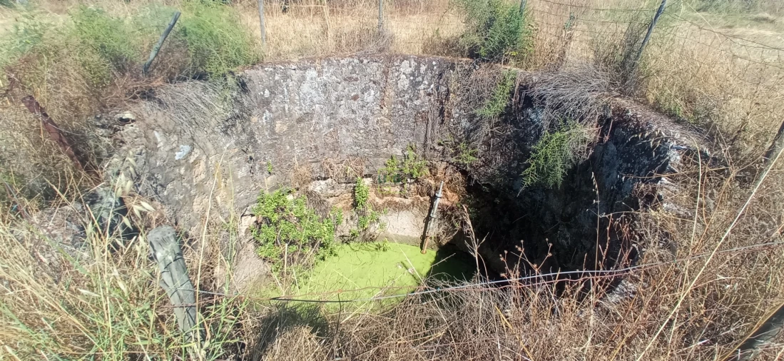 Terreno Agricola ou Rústico para Venda em Ladoeiro Foto 6