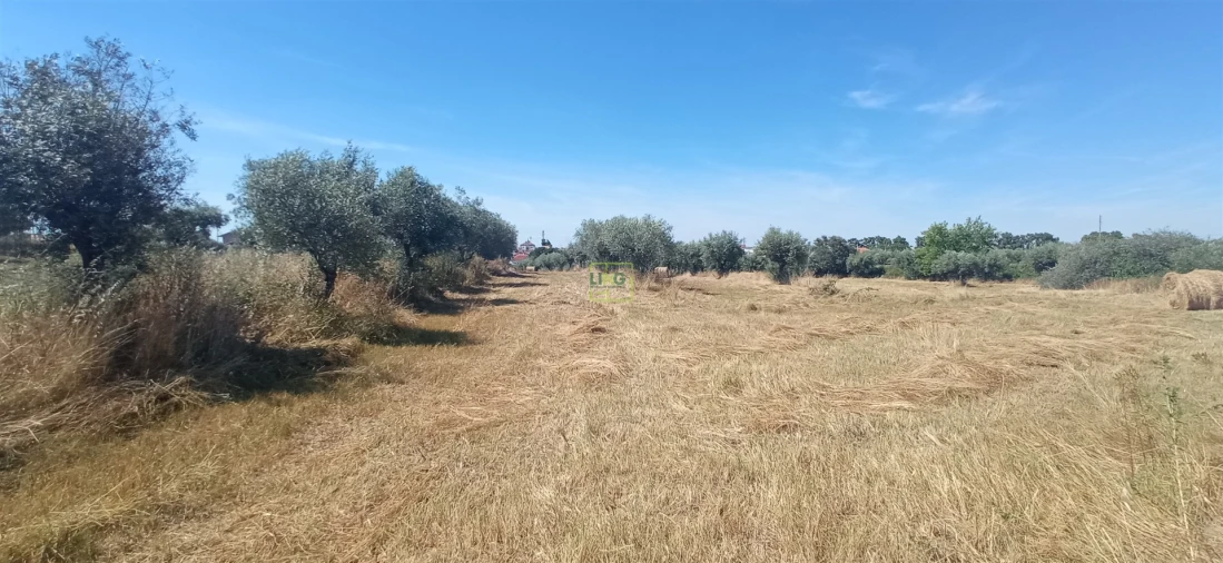 Terreno Agricola ou Rústico para Venda em Ladoeiro Foto 13