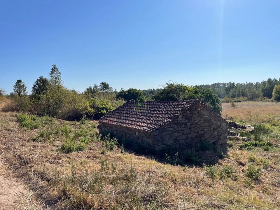 Quinta T0 para Venda em Sarzedas Foto 23