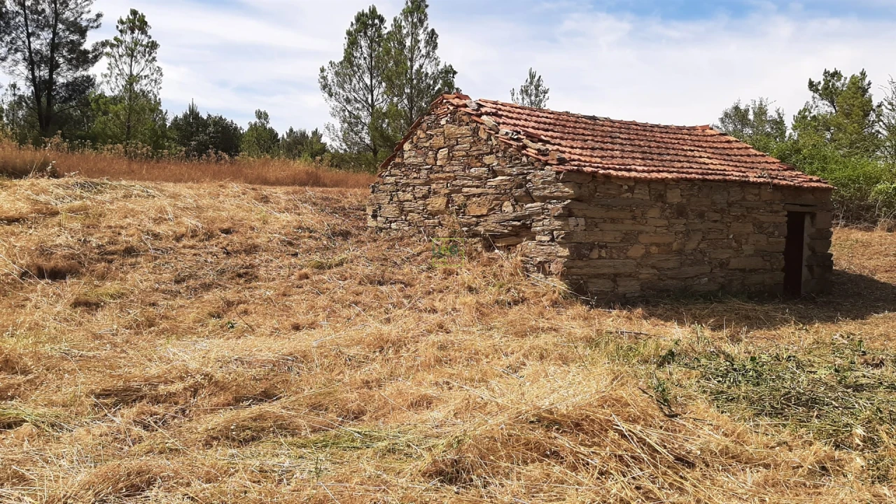 Quinta T0 para Venda em Sarzedas Foto 5