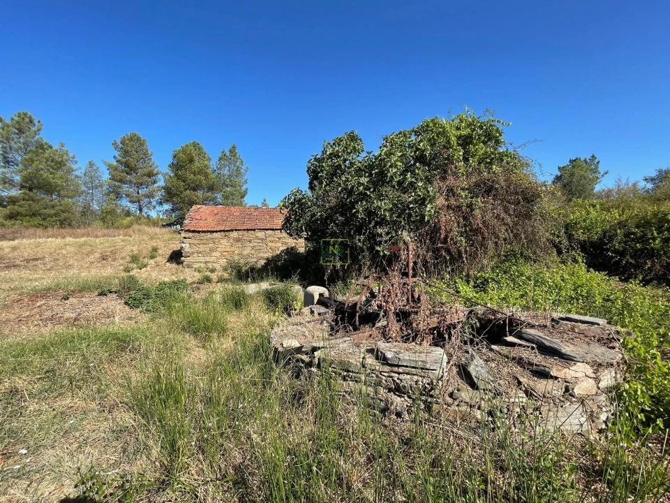 Quinta T0 para Venda em Sarzedas Foto 16