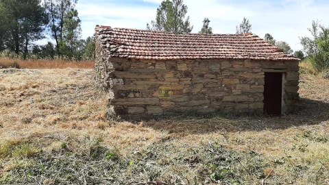 Quinta T0 para Venda em Sarzedas